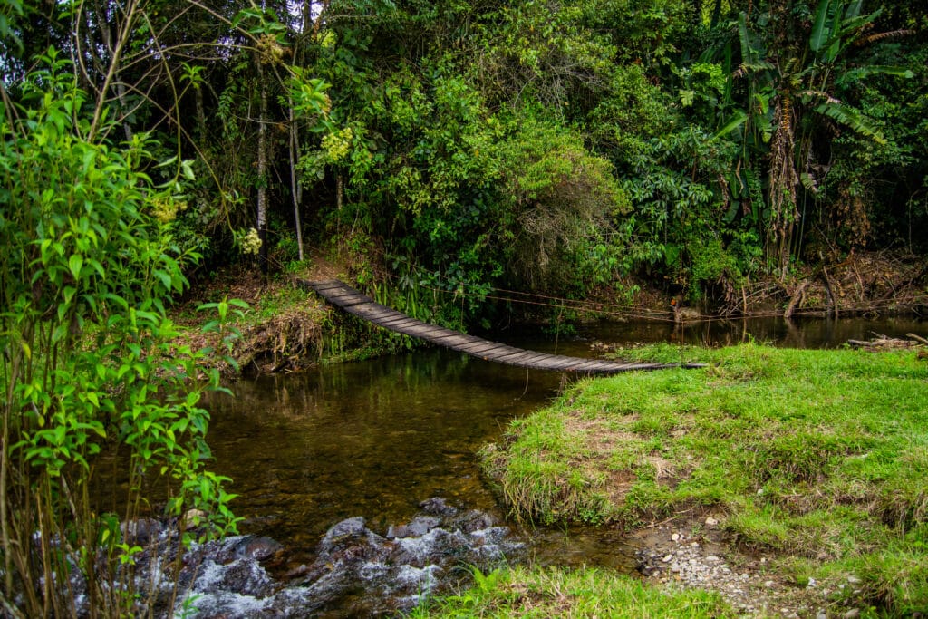 Reserva Natural Cascadas de Santa Rita Salento Quindio 2