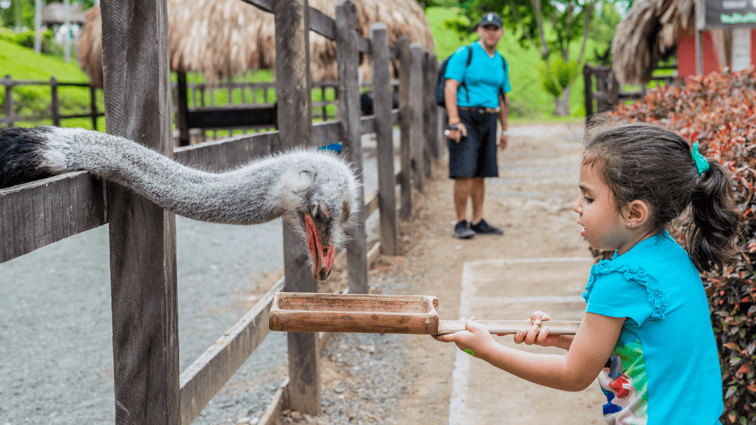 Parque Panaca Atracción para Niños